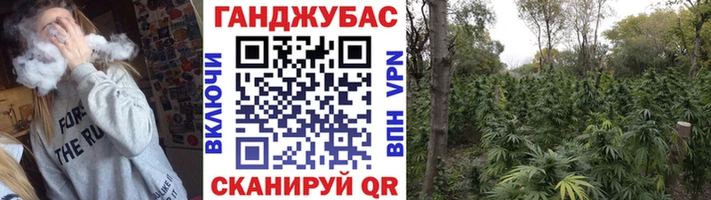 Купить где Макушино Каннабис White Widow